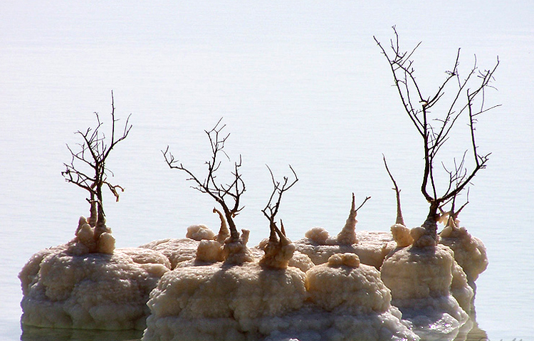 2000-08 ISR - Mrtvé moře tvořící jako umělec