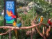 1995-12   SIN - singapurský Bird Park je barevným světem